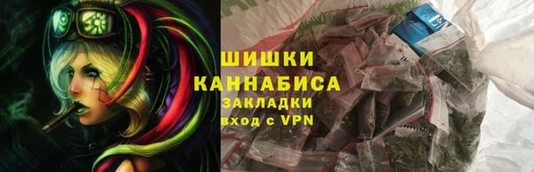 гашик Краснослободск